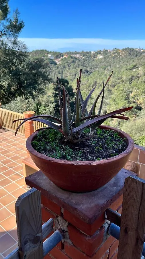 بيت ضيافة Villa Paradise Lloret يوريت دي مار