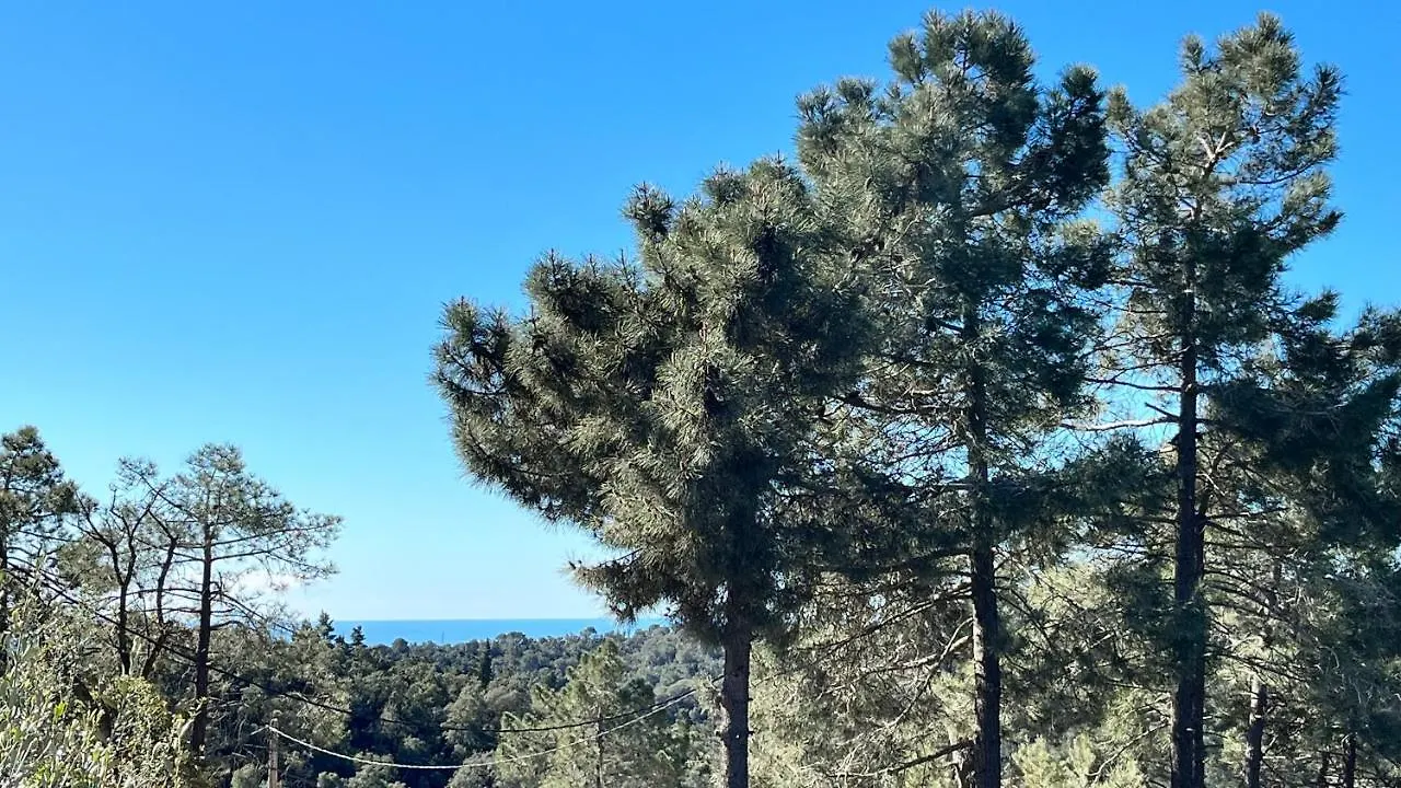 Konukevi Villa Paradise Lloret Lloret de Mar
